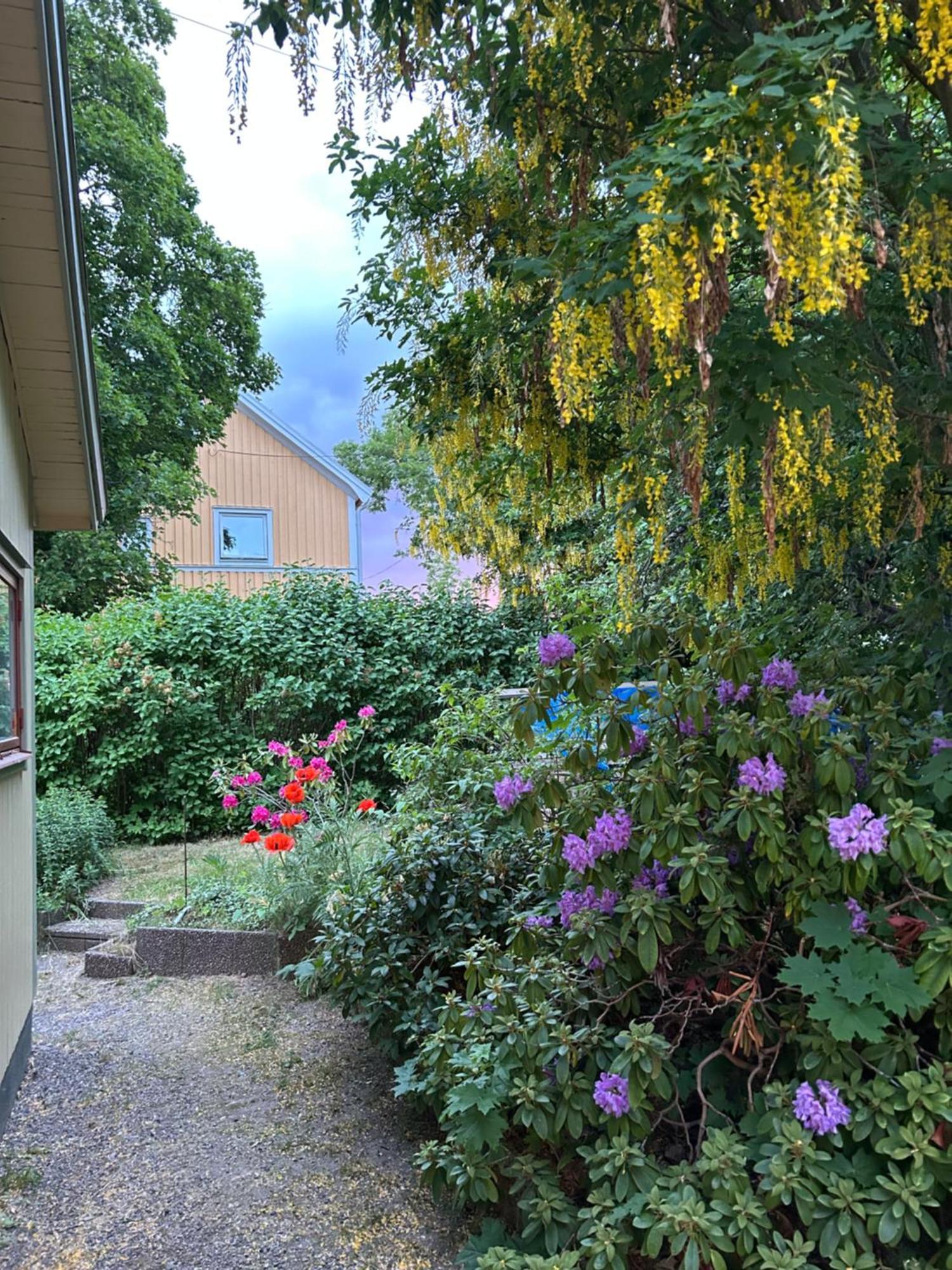 Fint Hus 15 Min Fran C *